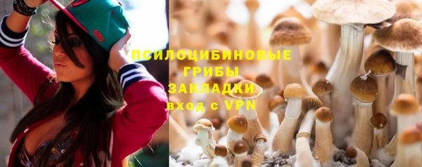 прущая мука Карпинск