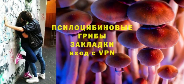 прущая мука Карпинск
