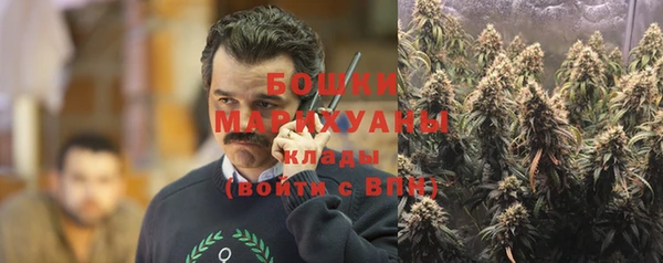 PSILOCYBIN Касимов