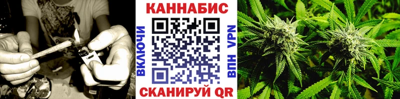 Купить где  Давлеканово  Конопля сатива 